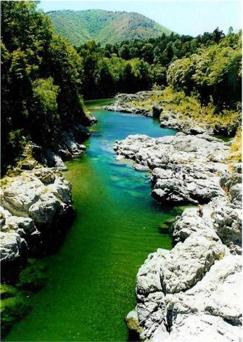 NZ_Pelorus river